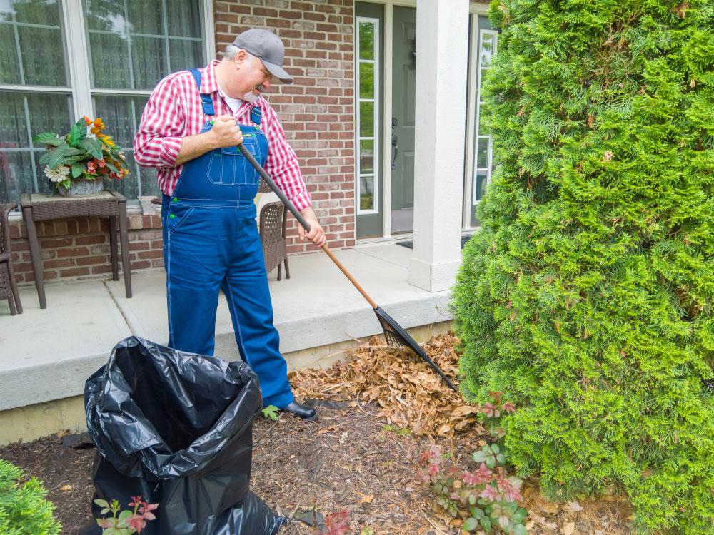 Garden Cleaning Archives I Can See Clearly Now